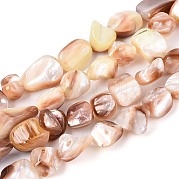 Нити бусин из натуральных морских раковин SSHEL-N041-02B