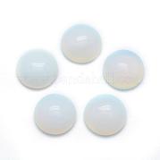 Opalite кабошоны G-P393-R10-10MM
