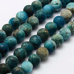 Perline apatite naturale fili, tondo, smerigliato, 8mm, Foro: 1 mm, circa 47pcs/filo, 14.9 pollice~15.3 pollici