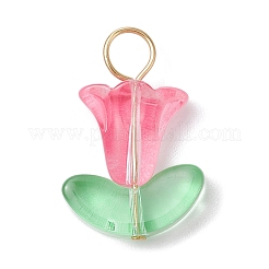 Стеклянные подвески PALLOY-JF02320-02