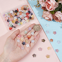 150 шт. 15-х цветные прозрачные бусины ручной работы в технике лэмпворк GLAA-PH0004-03