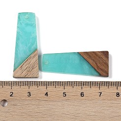 Подвески из смолы и дерева WOOD-F015-04E