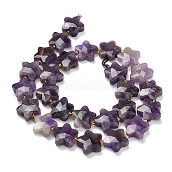 Natürlichen Amethyst Perlen Stränge&nbsp;G-L657-A08-01