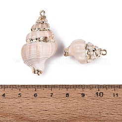 電気メッキされた金色の真鍮の縁取り、天然の螺旋状の貝殻ペンダント  巻貝チャーム  アンティークホワイト  28~42x18~23x15~22mm  穴：1.6~1.8mm&nbsp;SSHEL-N042-37