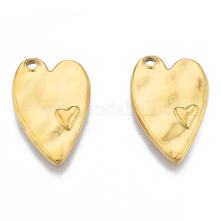 Pendentifs en acier inoxydable 304 avec placage ionique (IP)&nbsp;STAS-N098-187LG