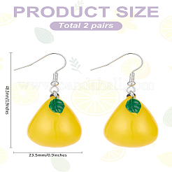 2 пара пластиковых висячих сережек&nbsp;EJEW-LP0001-29