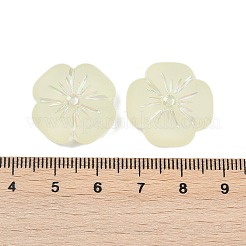 Матовые прозрачные акриловые бусины OACR-P029-19B-03