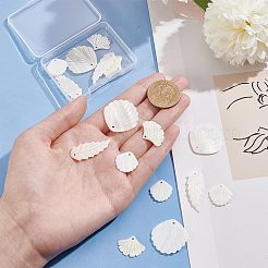 16шт 4 стиля подвески из натуральных ракушек SHEL-AR0001-14