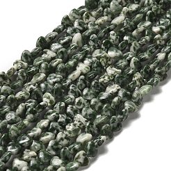 Натуральные зеленые пятна яшмовых нитей G-P575-C16-6mm