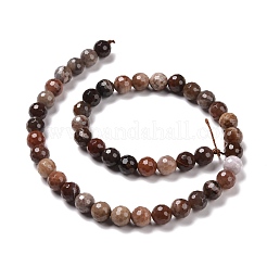 Природные окаменелое дерево бисер пряди G-E571-27B