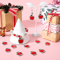 30 шт. Подвески из сплава с эмалью&nbsp;FIND-SC0012-87