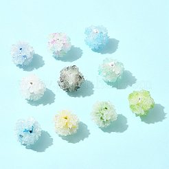 10шт 10 цвета бусины из смолы&nbsp;RESI-FS0002-24A