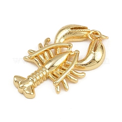 Латунные подвески&nbsp;KK-C116-01B-G