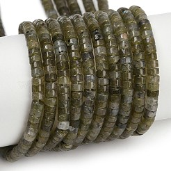 Нити бусин из натурального лабрадорита G-H230-78