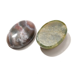 Cabochons en pierre précieuse d'agate indienne naturelle&nbsp;G-T020-18x25mm-27