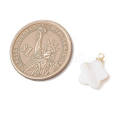 5 шт. 5 варианта подвесок из натуральных ракушек с латунными креплениями&nbsp;PALLOY-JF04892