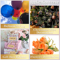 500 ярд голографической пластиковой ленты OCOR-WH20003-09B