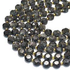 Натуральные нити бус из ларвикита G-C116-A155-01