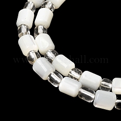 Нити бусин из натуральных трохоидных/трохус ракушек&nbsp;BSHE-A002-02A