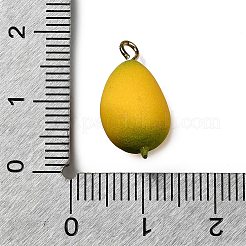 Латунные подвески из акрила OACR-R006-01G-10