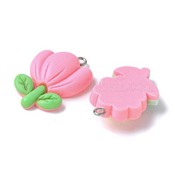 20шт 20 стиля непрозрачные подвески из смолы&nbsp;LS-RESI-V001-01