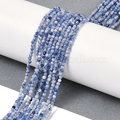 Натуральное синее пятно нитки из бисера яшмы G-A252-A02-01