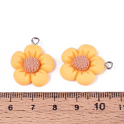 Pendentifs en résine&nbsp;LS-RESI-C002-09
