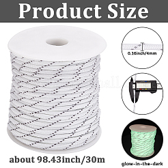 30 m leuchtende Polyesterschnur&nbsp;AJEW-SP0004-86D