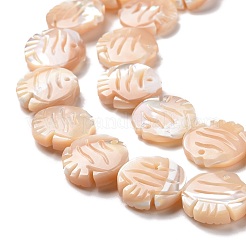 Природные trochid бусы нити SSHEL-G023-16A