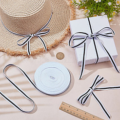 25 ярд полиэстеровых лент SRIB-AR0001-25