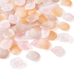 60 шт. прозрачных подвесок в стиле лэмпворк ручной работы&nbsp;LAMP-TA0001-28