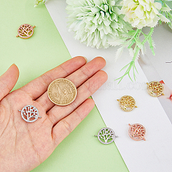 6 шт. 3-цветные звенья из латуни с прозрачным микропаве из кубического циркония&nbsp;ZIRC-HY0001-04