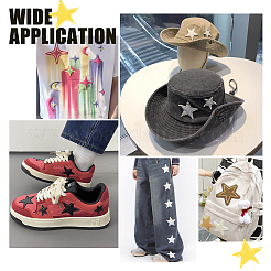 43 шт. 14 стильные компьютеризированные вышитые нашивки на ткань с термоклеем/пришиванием DIY-PH0021-13