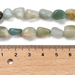 Натуральный цветок амазонитовые бусины пряди G-P497-01E-31