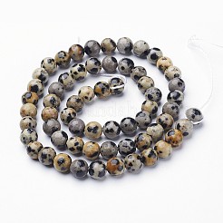 Natur Dalmatiner Jaspis Perle Stränge&nbsp;G-R345-6mm-51