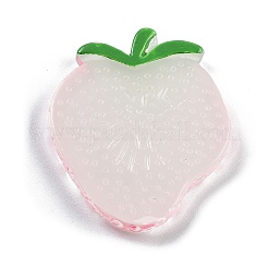 Украшение для витрины из светящейся смолы в виде кусочков фруктов&nbsp;DJEW-B014-04