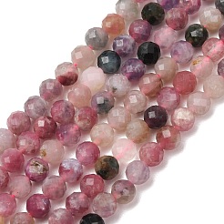 Perles de tourmaline fleurs de prunier naturel brins&nbsp;G-D110-A01-02