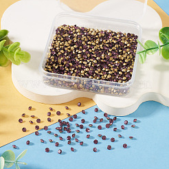 1 sachet de cabochons de strass en verre à dos pointu&nbsp;RGLA-TADJ0001-01B-02