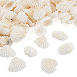 Подвески из раковины SSHEL-TA0001-03