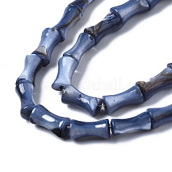 Naturali di acqua dolce perline shell fili&nbsp;SHEL-Q025-003A
