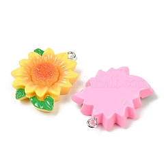 Pendentifs en résine&nbsp;RESI-D016-04A