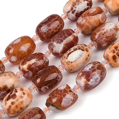 Природные пожары треск агат бисер нитей&nbsp;G-K393-G05-13x18