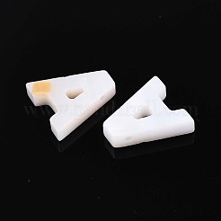 Подвески из натуральных пресноводных ракушек BSHE-ZX007-02A