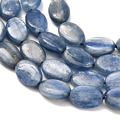 Perline Kyanite naturali fili&nbsp;G-H335-D01-8x12mm