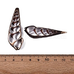 天然のツリテラ貝のペンダント  スライスした貝殻のチャーム  ココナッツブラウン  45~60x13~19x5~7mm  穴：1.4~11x1.4~8mm&nbsp;SSHEL-N042-25