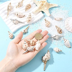 5 шт. подвески из натуральных спиральных ракушек с гальваническим покрытием&nbsp;BSHE-YW0001-09