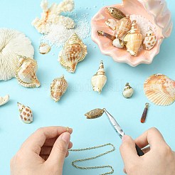 16 шт. 8 стиля гальванизированные натуральные смешанные ракушки большие подвески&nbsp;SSHEL-CJ0001-21