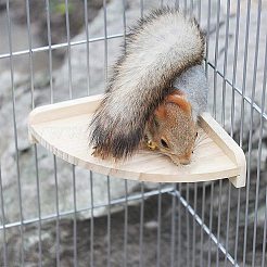 ペットのオウム 鳥かご 止まり木 木製スタンド プラットフォーム セキセイインコのおもちゃ  長方形と扇形  バリーウッド  4個/セット&nbsp;AJEW-GA0001-40