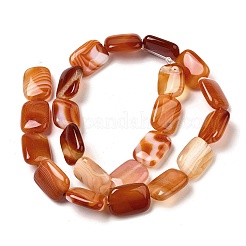 Натуральные полосатые агатовые / полосатые агатовые бусинки&nbsp;G-B137-B01-01G