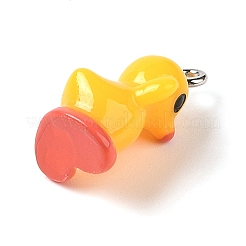 Подвески из непрозрачной смолы RESI-S399-04